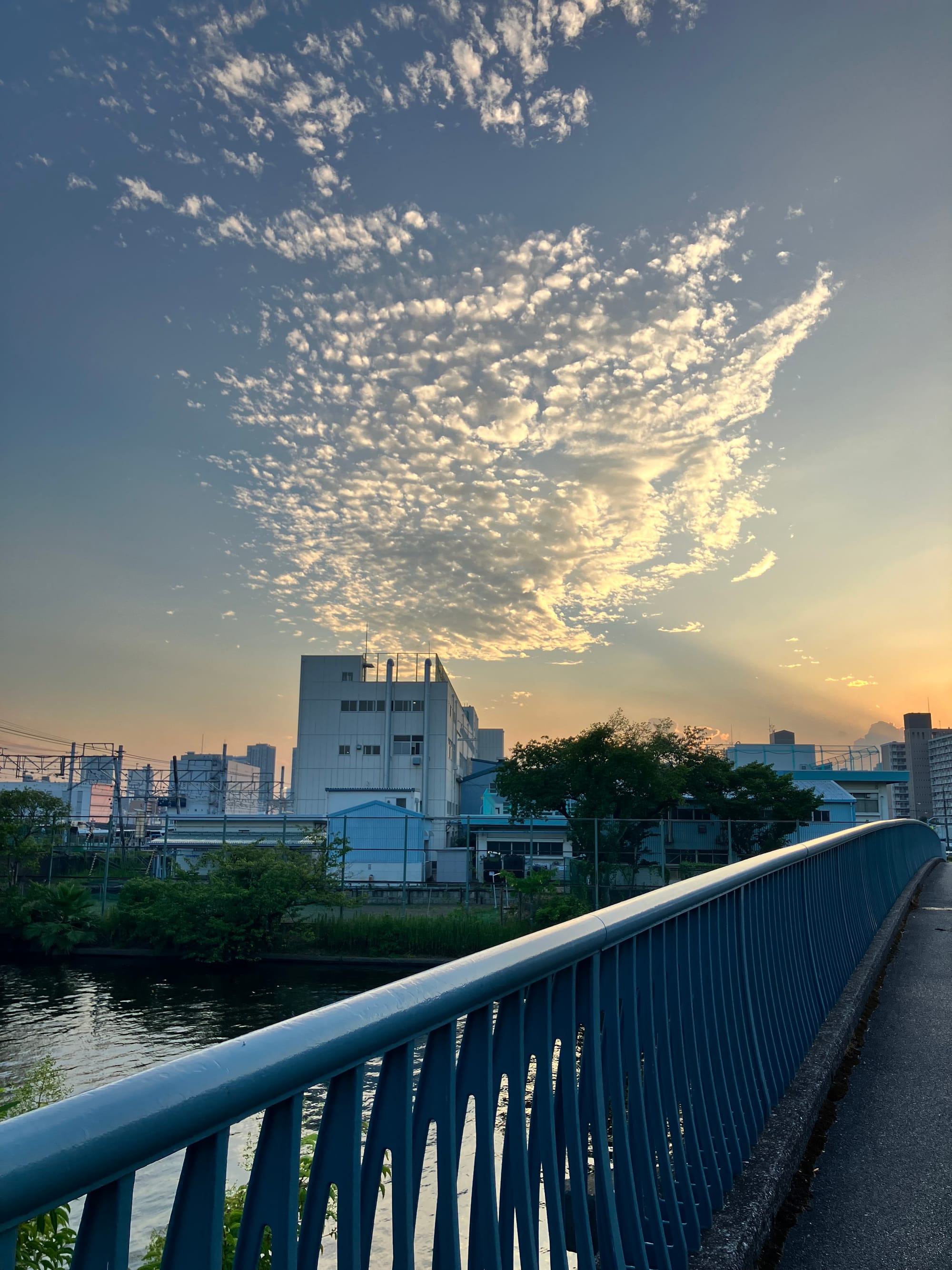 fragment-#14 カフェイン(土日のみ)